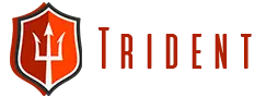 Trident Shipping & Trading PTE LTD Logo